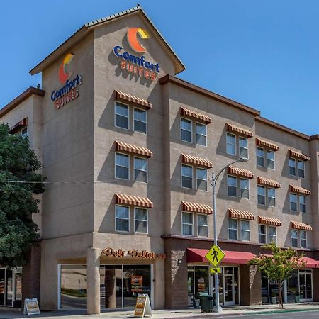维萨利亚会议中心凯富套房酒店 维塞利亚 外观 照片